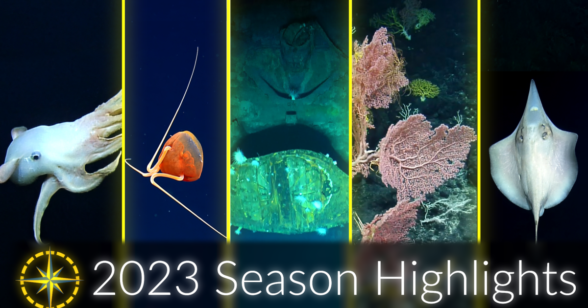 2023 Expedition Season Highlights Deep Sea Science And Collaboration